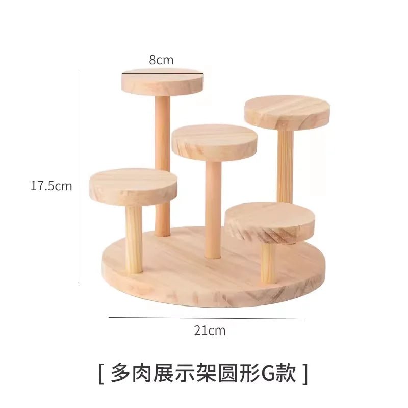 Solid Wood Lacquer Finish Modern Rectangle Multifunction 20x20x20cm Desktop Organizer Display Stand for Living Room Storage