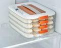 Dumpling Plastic Kitchen Storage Box Refrigerator Freezing 3 Layer Frozen Box Crisper Food Grade Stackable Food Containers