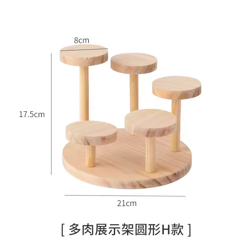 Solid Wood Lacquer Finish Modern Rectangle Multifunction 20x20x20cm Desktop Organizer Display Stand for Living Room Storage